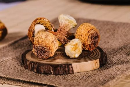 Amazing food for a healthy immune system