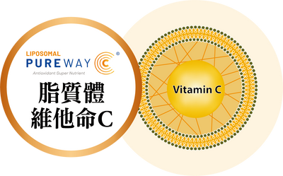LIPOSOMAL PUREWAY-C®