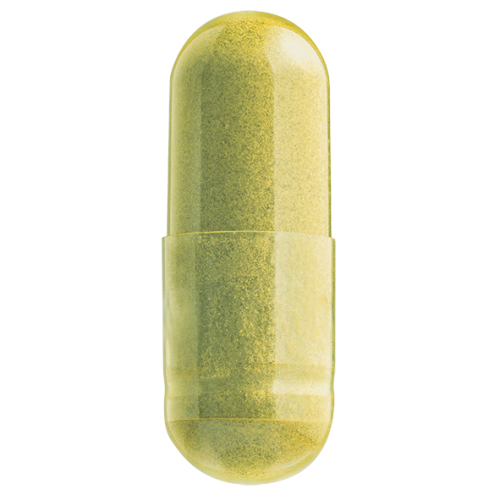 天然洋蔥素及綠茶素 Natural Quercetin & Green Tea Extract