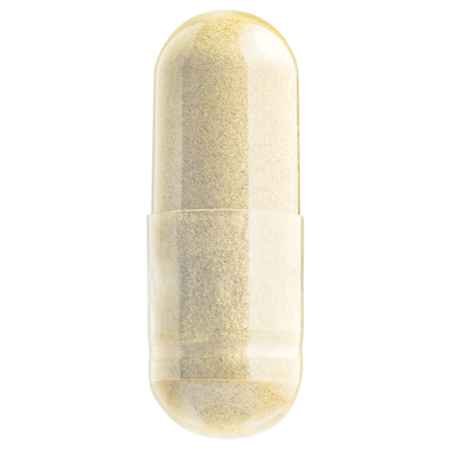 天然珊瑚鈣 Pure Coral Calcium